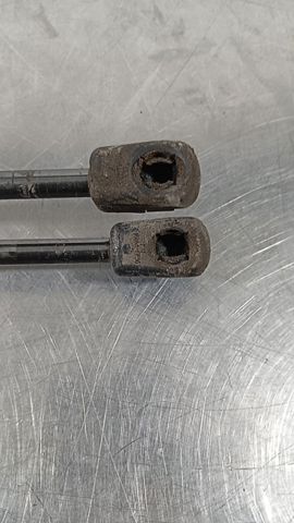 BM51A406A10AE FORD Amortiguador de la tapa del maletero  comprar en Lleida