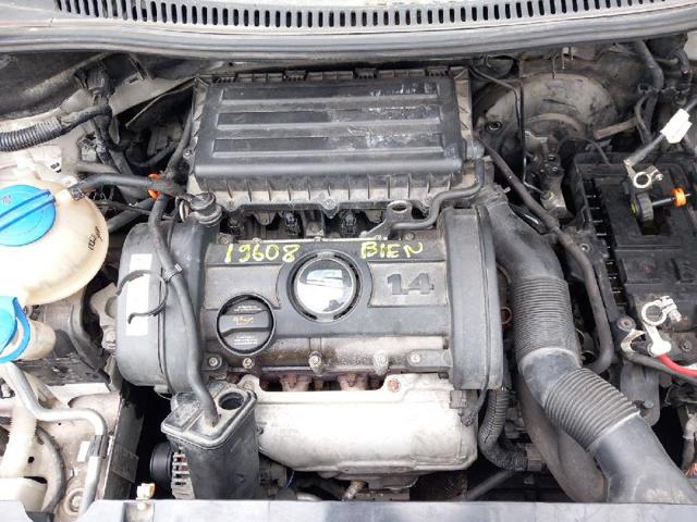 BXW VAG