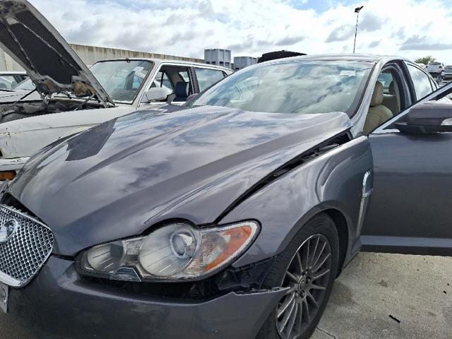 C2C27262 Jaguar