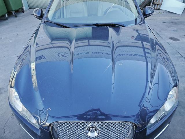 C2Z11444 Jaguar