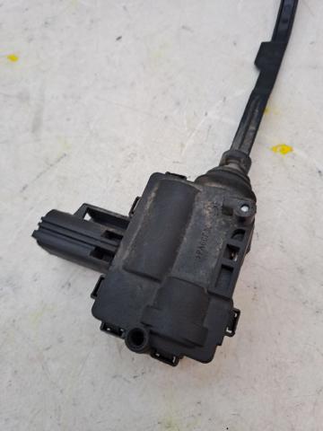 C2Z13877 Jaguar