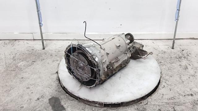 C2Z13929 Jaguar