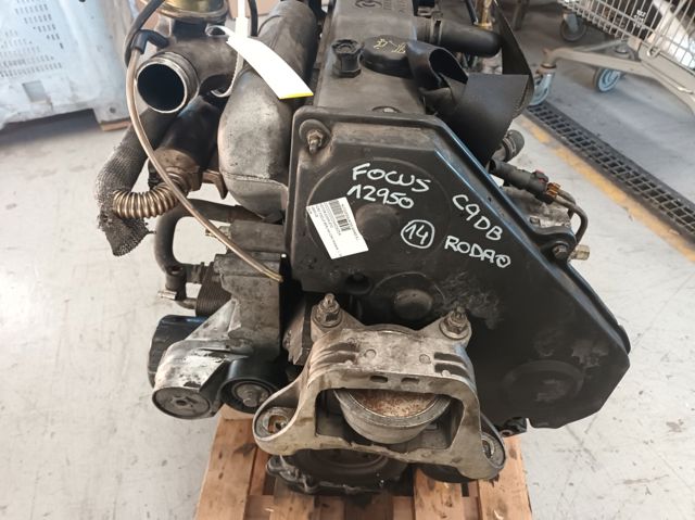 Motor Ford Focus I desde 688,25 €