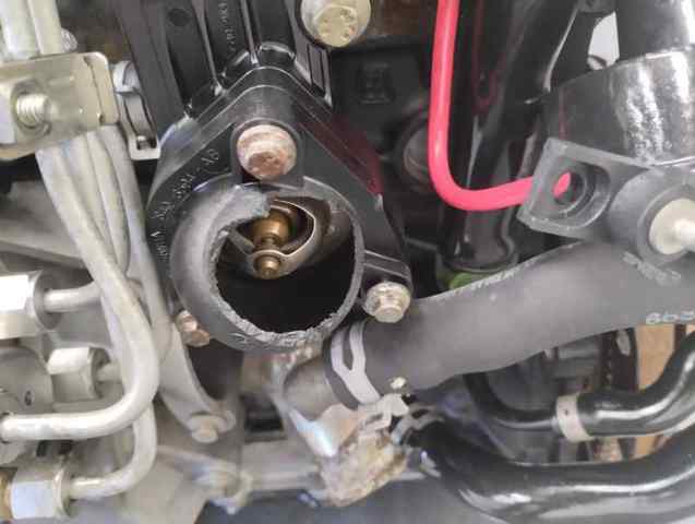 Motor para Ford Focus I (DFW)