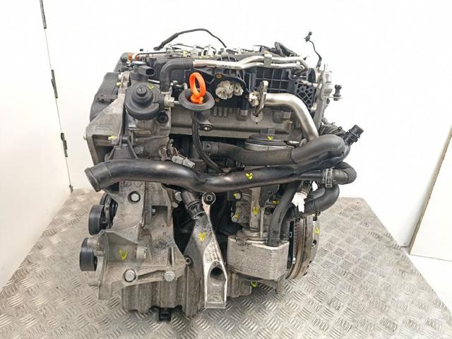 CAG VAG