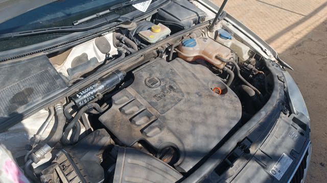 CAG VAG