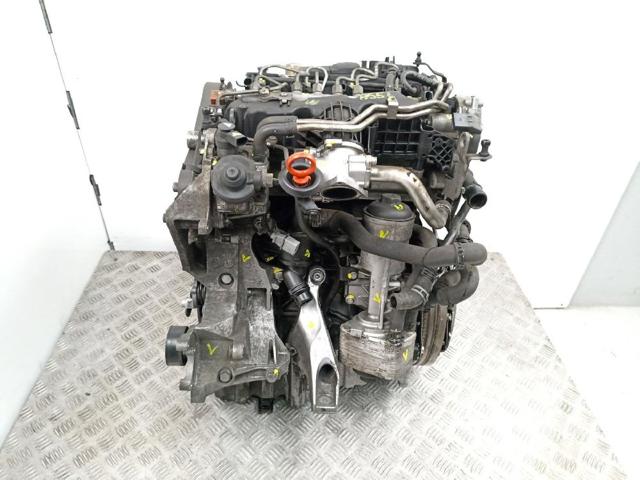 CAG VAG