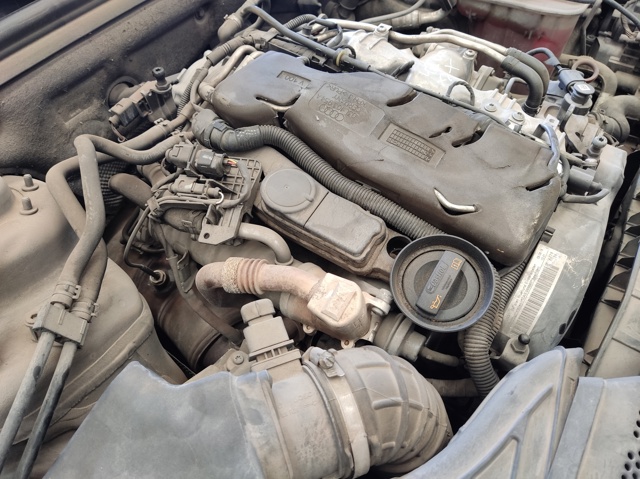 CAG VAG