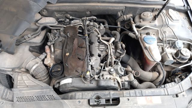 CAGA VAG/Audi
