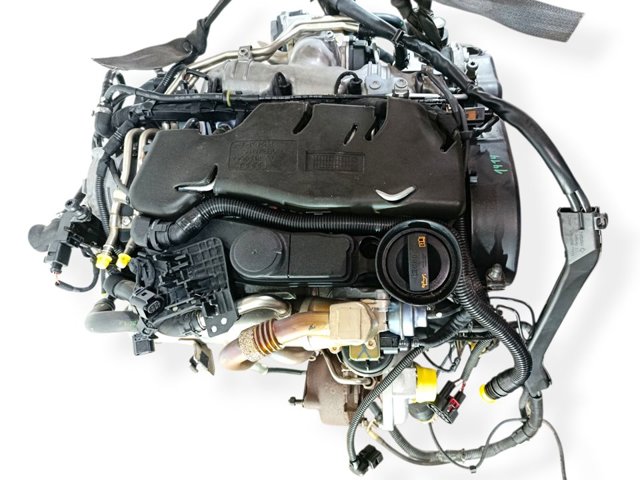 CAGA VAG