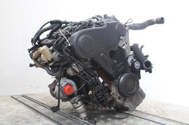 CAGA VAG/Audi