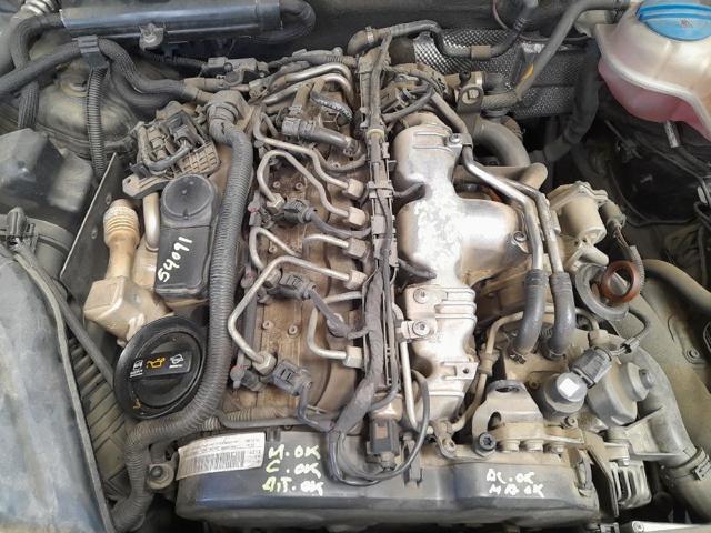CAGA VAG