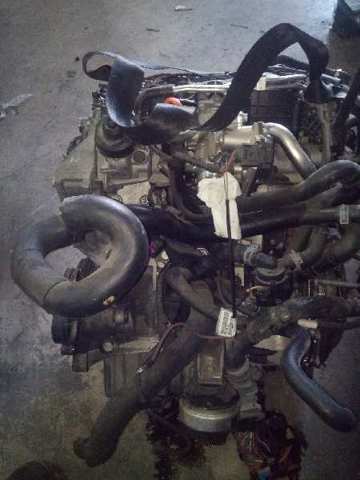 CAGC VAG