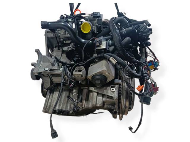 CAGC VAG