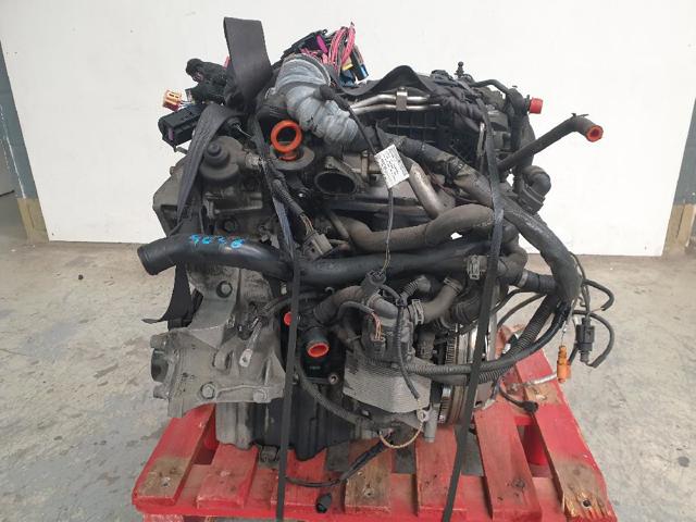 CAGC VAG