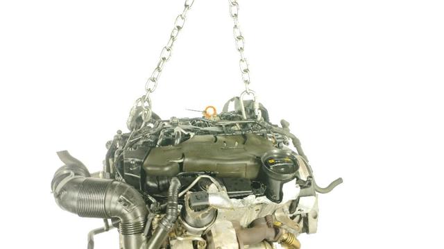 CBDC VAG