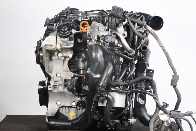 CBDC VAG