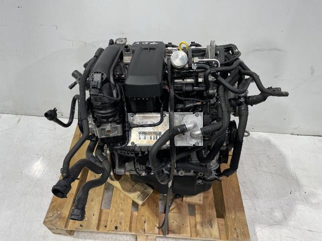 CBZB VAG