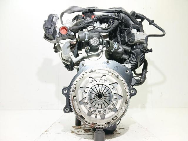 CBZC VAG