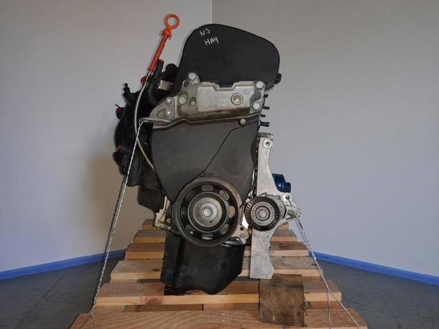 CGG VAG