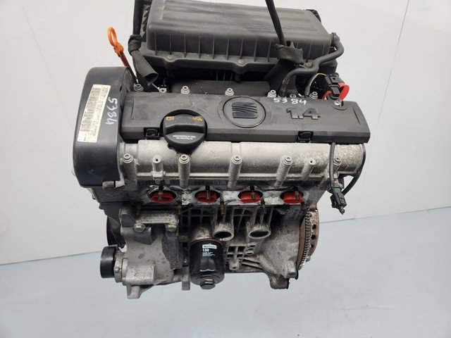 CGG VAG