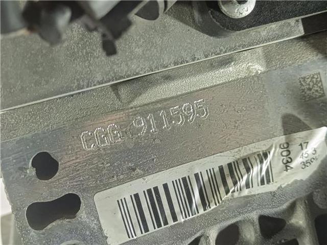CGG VAG