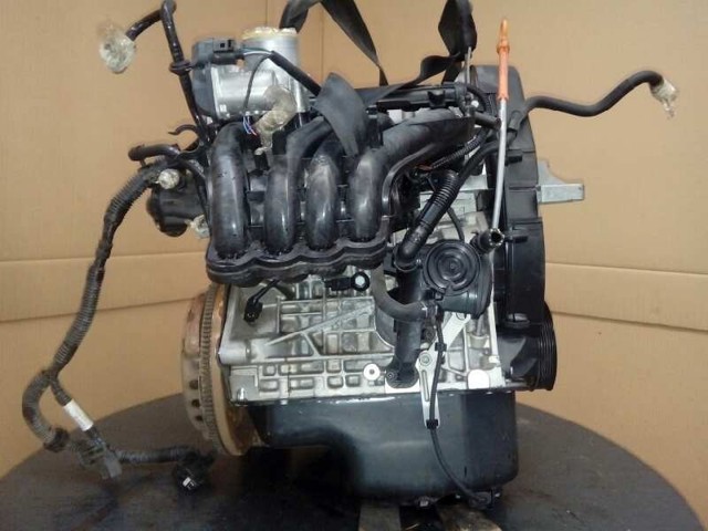 CGG VAG