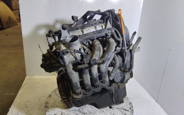 CGG VAG