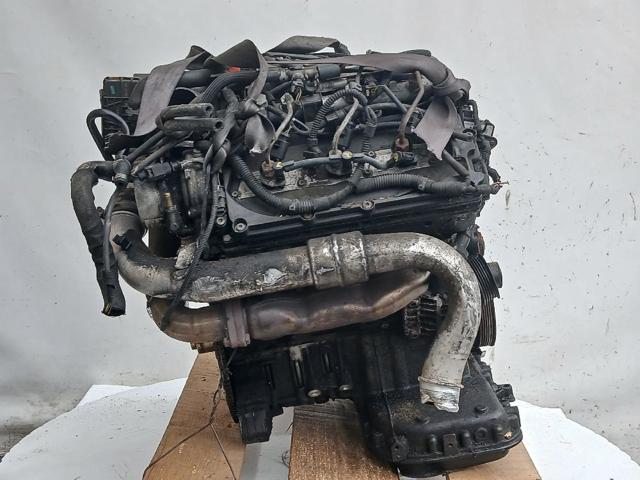 CGKA VAG