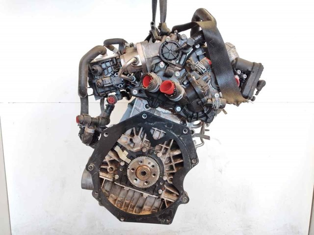 CHZ VAG  en stock Gandía