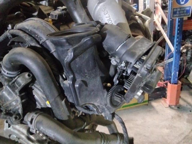 CHZ VAG