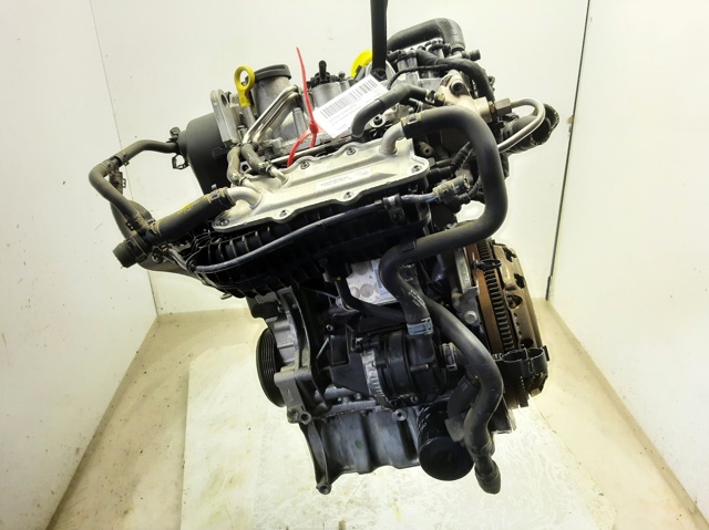 CHZC VAG