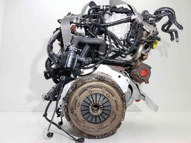 CJCD VAG
