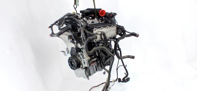 CJZC VAG