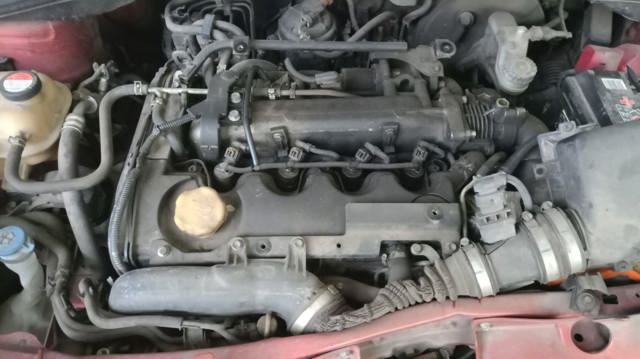 D19AA Fiat/Alfa/Lancia