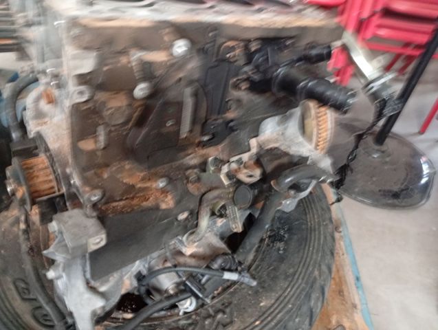 D4204T16 Motor completo  en stock Castellón