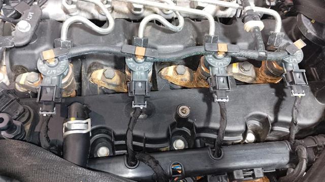 D4FD Hyundai/Kia