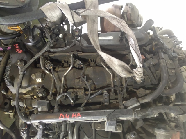 D4HB Hyundai/Kia