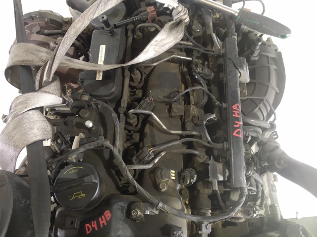 D4HB Hyundai/Kia
