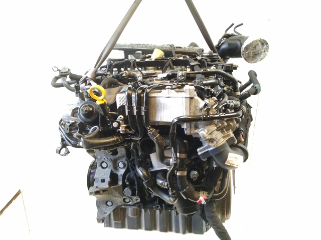 DFG VAG
