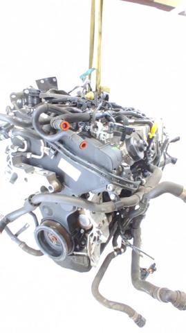 DFGA VAG