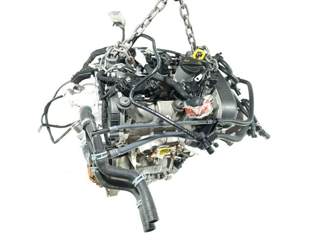 DFN VAG