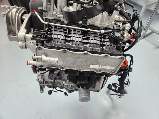 DGEA VAG