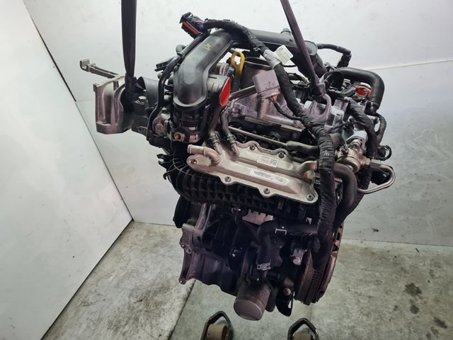 DKRF VAG