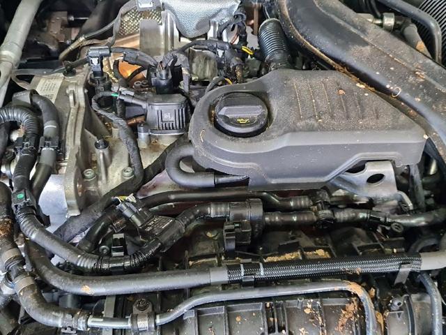 DXDB VAG