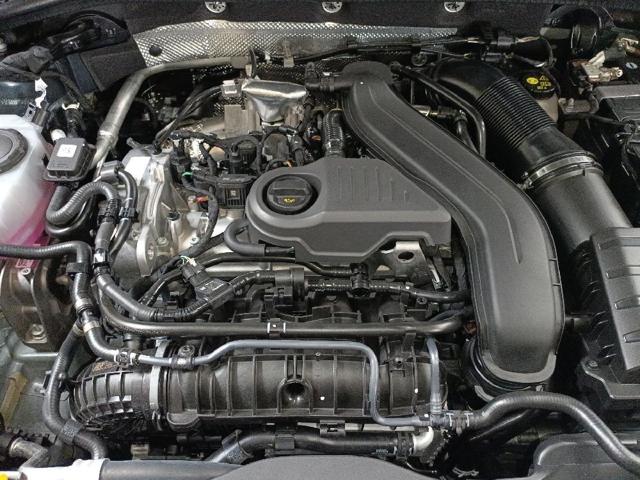 DXDB VAG
