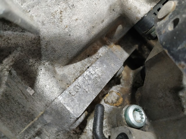 EGV VAG