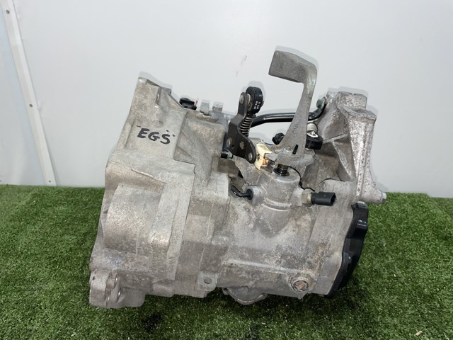 EGV VAG