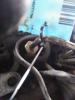 Inyector-bomba EJBR01801A RENAULT