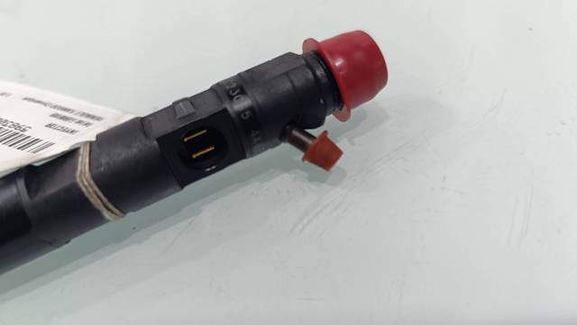 RENAULT EJBR05102D Inyector de combustible  comprar en Ponferrada